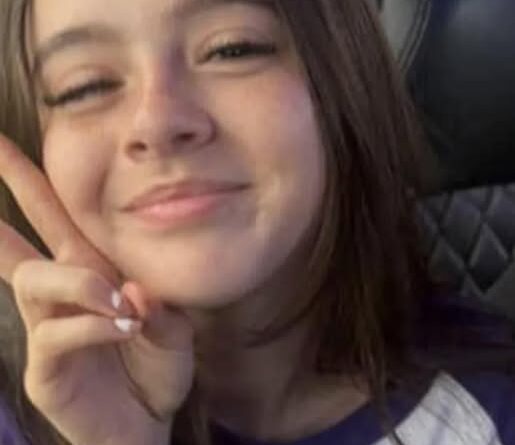 Violet D. Harris Hit-and-Run Crash Chicago Death and Obituary: Gone Too Soon